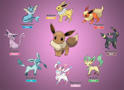 How to Evolve Eevee .